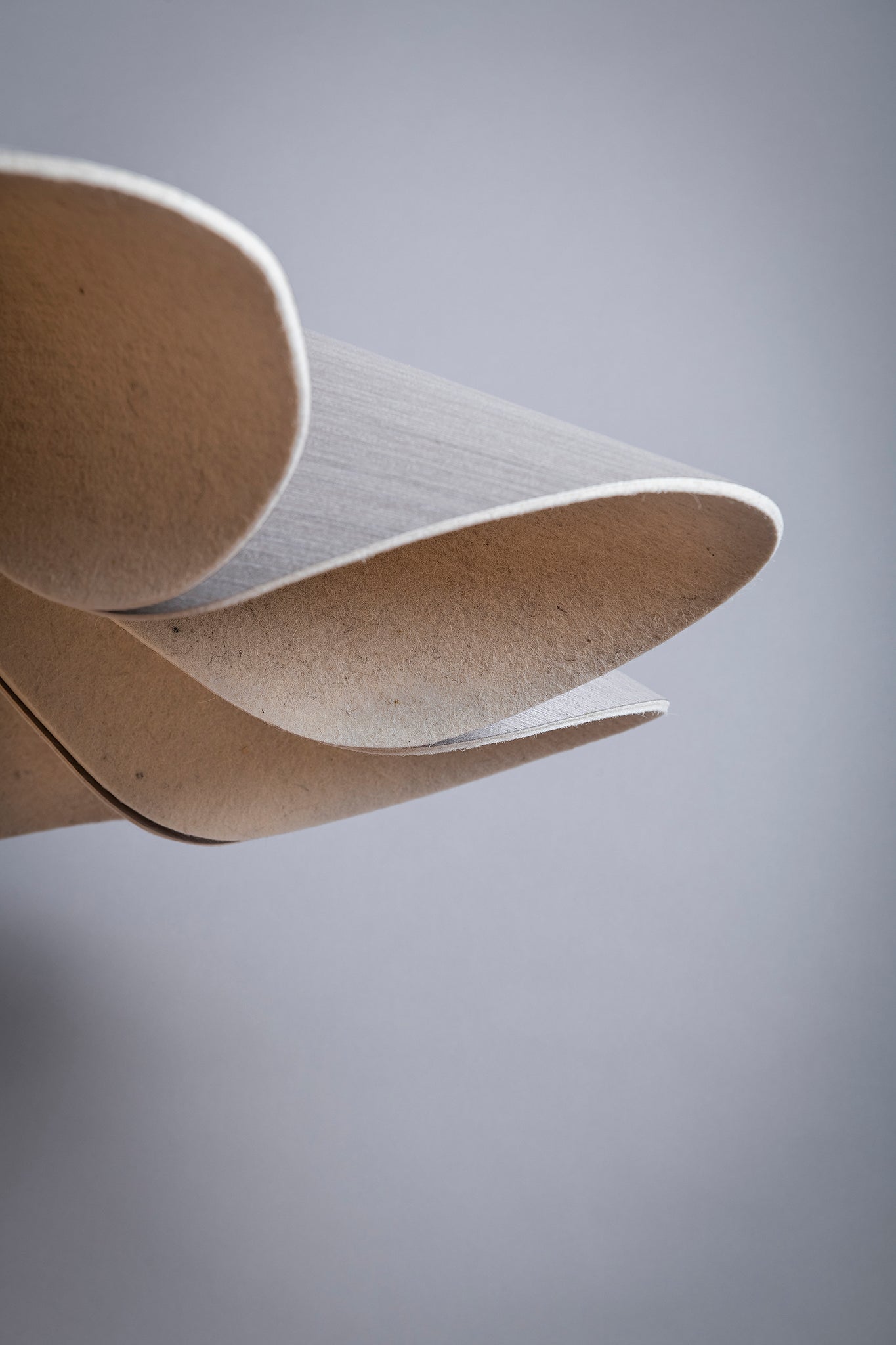 Delfina Acoustic 100 / 160